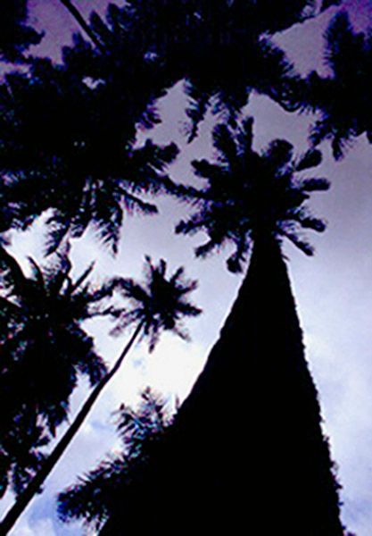 Foto 2: Un punto de vista / (c) Mamuga
