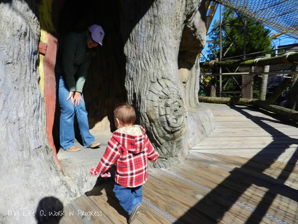 Busch Gardens Williamsburg Virginia- Find out more on My Life: A Work in Progress