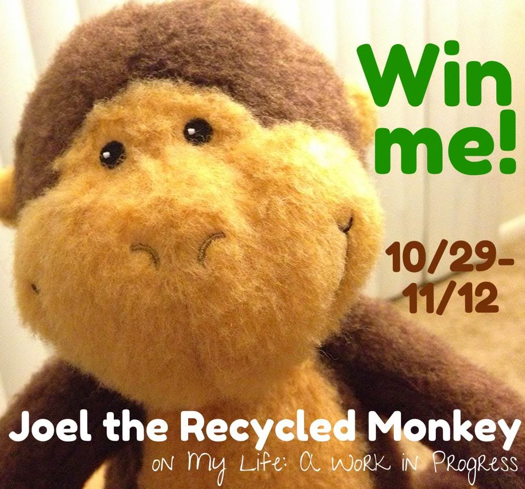 Joel the Recycled Monkey- Win me on My Life: A Work in Progress