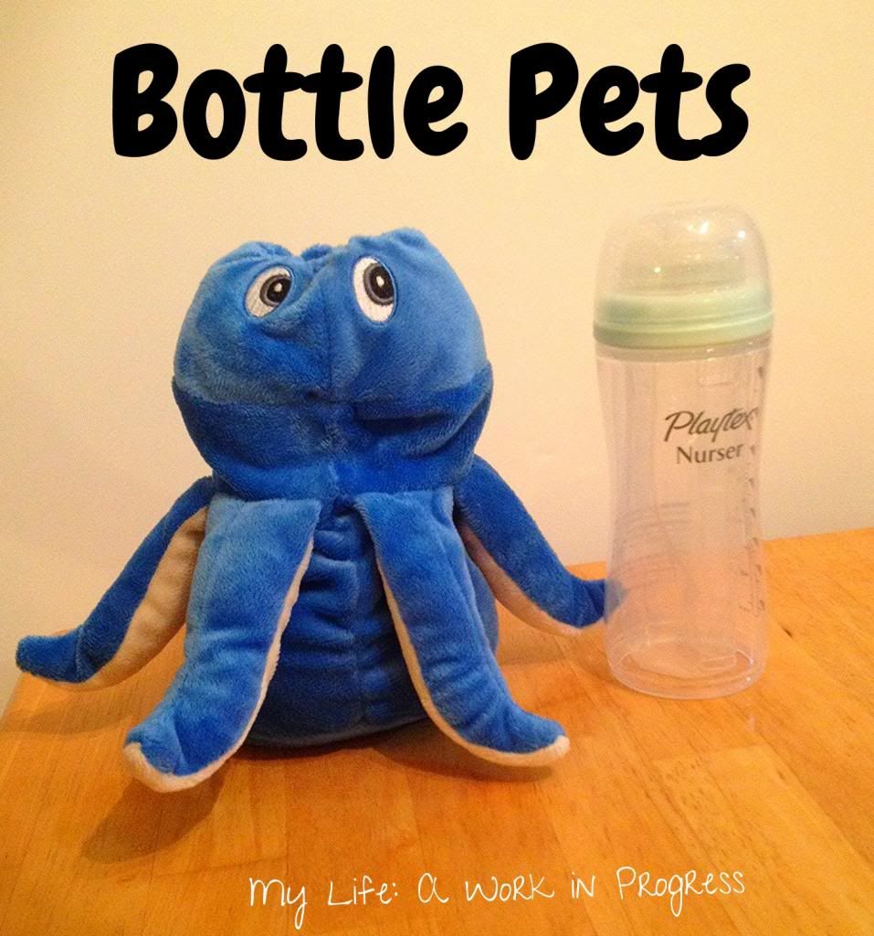 Bottle Pets on My Life: A Work in Progress