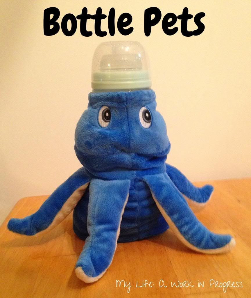 Bottle Pets on My Life: A Work in Progress