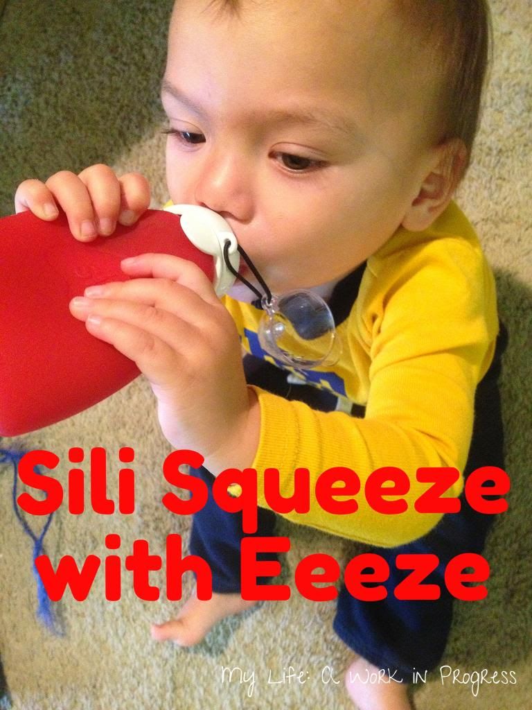 Sili Squeeze reusable food pouch- Read about it on My Life: A Work in Progress