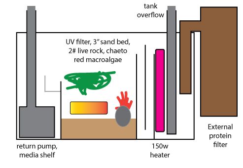 sump2_zps4d9e0c31.jpg