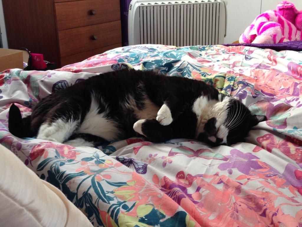 06AFCE73-21C4-4954-B346-9A030A9D759A_zps