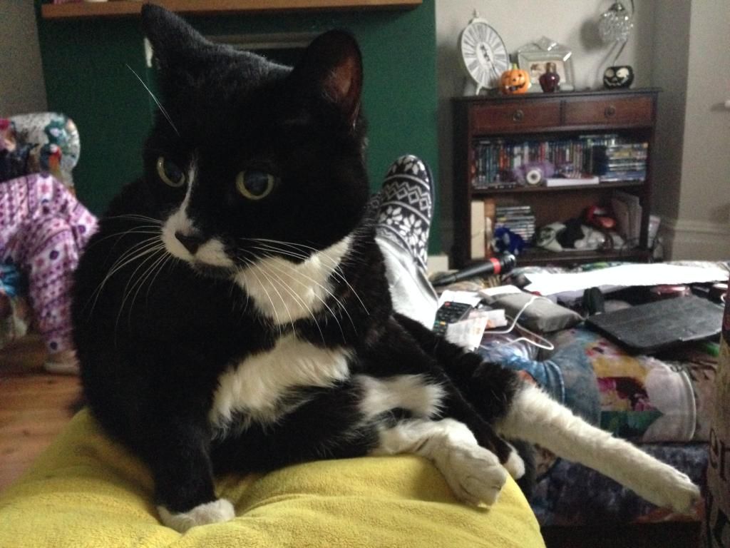 20D7ADF9-D7D5-4AB2-84D5-BB72D058241E_zps