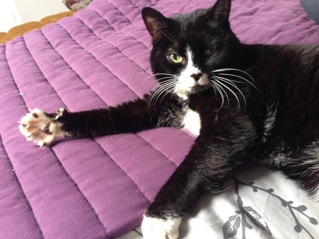 4B0880DC-02BD-4F88-BE55-900BF9EF2D02_zps