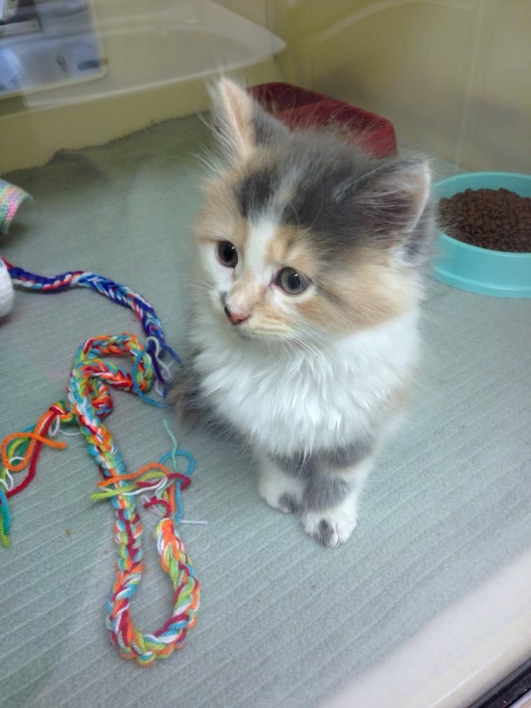 9C39A62E-5892-490E-9852-ABB99F6BEF70_zps