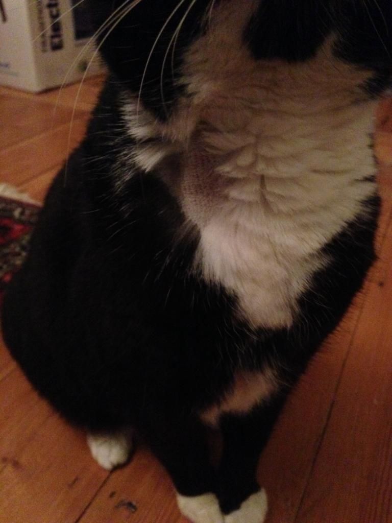 AE9F45D7-3D1B-4A2C-99EA-0B23F03384E4_zps